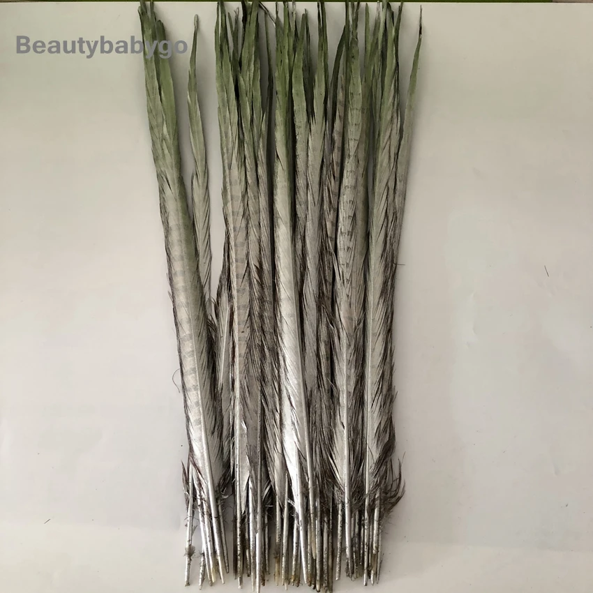 50-55cm 20-22inch Silver Paint Ringneck Pheasant Tails Feather Natural Chicken Feathers For Carnival Halloween Decorations Craft - Цвет: silver