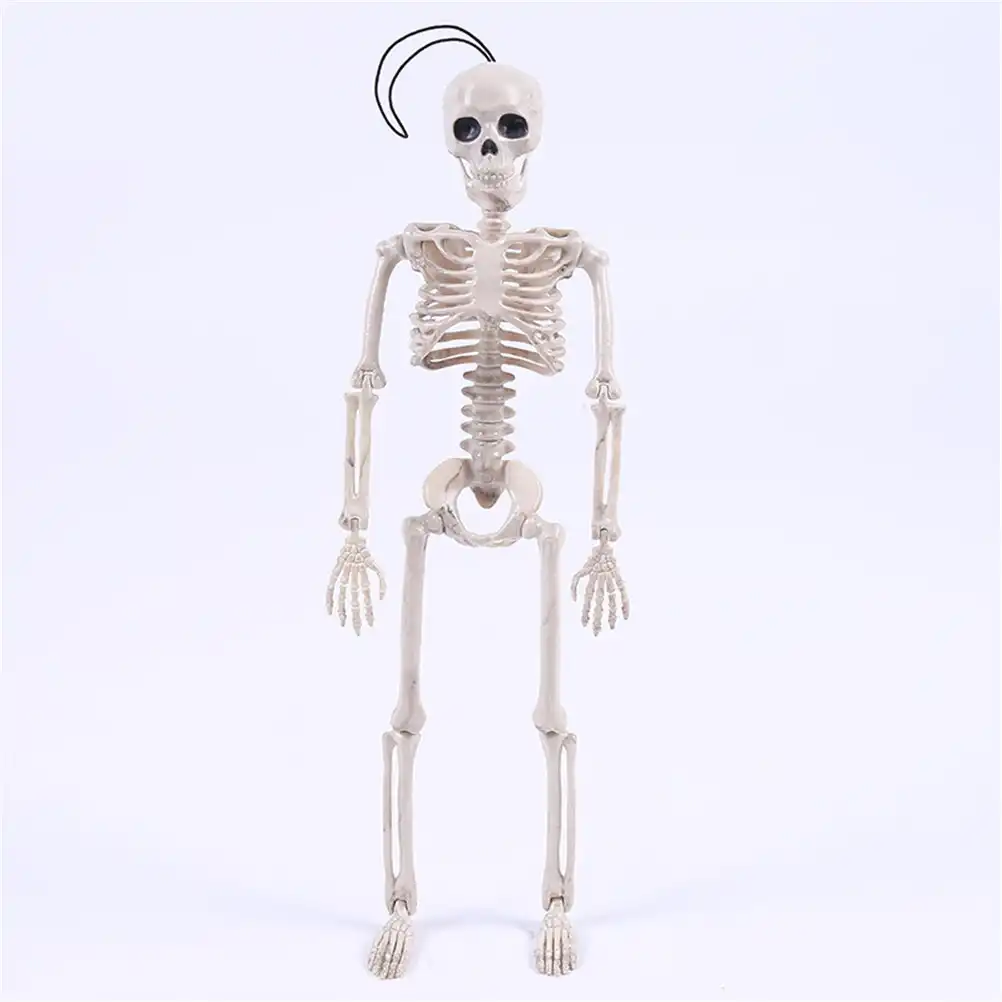 40cm halloween flexible human anatomical anatomy bone skeleton