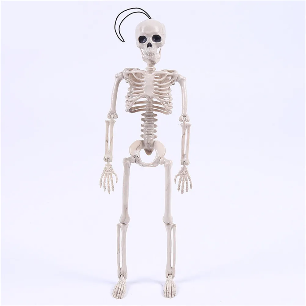 

40CM Halloween Flexible Human Anatomical Anatomy bone Skeleton Model Medical Wholesale Medical Learn Aid Anatomy art sketch