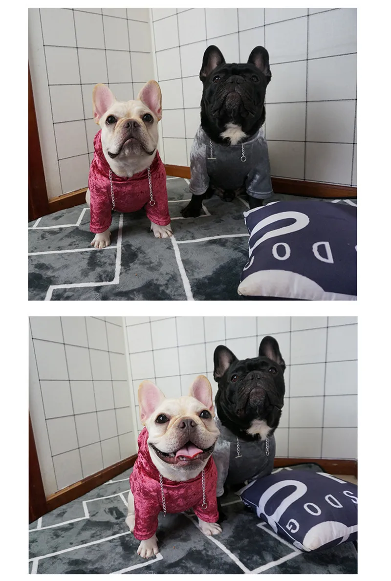sweatshirt french bulldog (13)