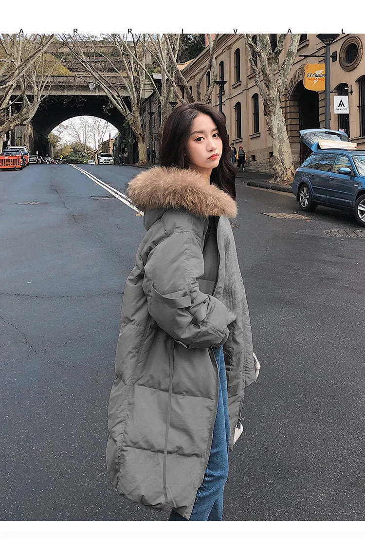 

Winter Korean-style High Imitation Large Fur Collar down Jacket Cotton-padded Clothes Women's Thick Warm 2019 New Style Cotton-p