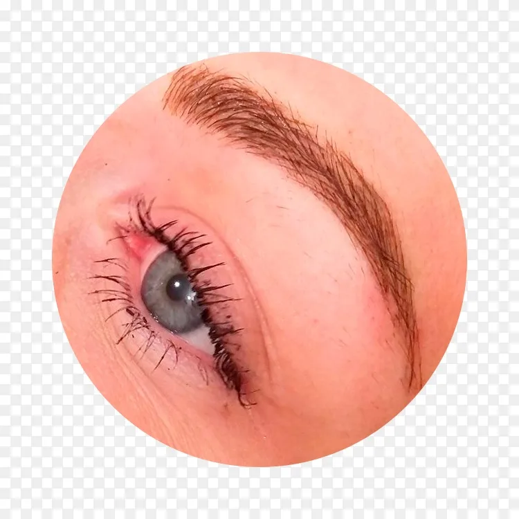 睫毛延伸 微型美容院 眉毛长睫毛png图片素材免费下载 图片编号 Png素材网