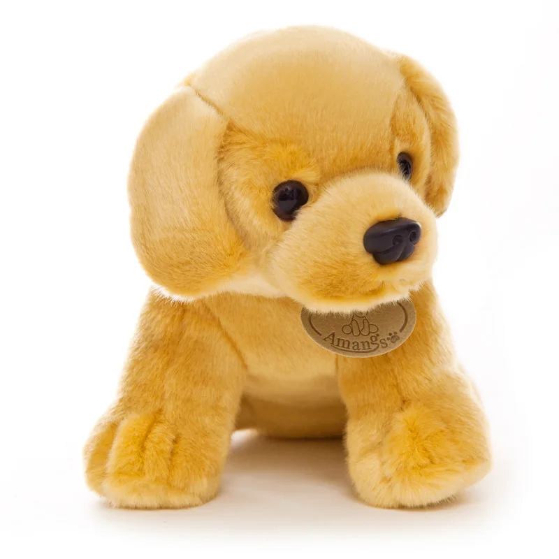 11541696204_1550818352