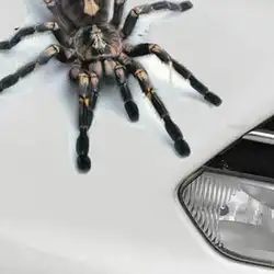 Трехмерный автомобиль паук Гекко автомобильные наклейки с животными Игрушечная машина наклейки на заднее стекло реалистичные украшающие