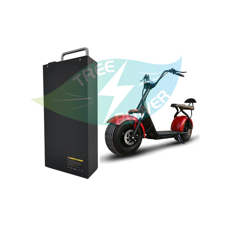 Купить Аккумулятор Для Сити Коко 60v