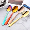 8 Pcs Stainless Steel Colorful Spoons Cutlery Set Dessert Spoon Ice Cream Dessert Tea Coffee Stirring Spoon OEM Logo ► Photo 1/6