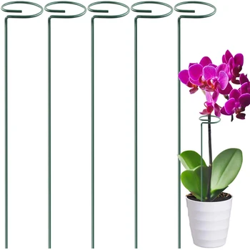 

Flower Plant Stem Bonsai Support Stand Stake Semi Circular Ring Metal Border Support Plant Tool Garden Accessories