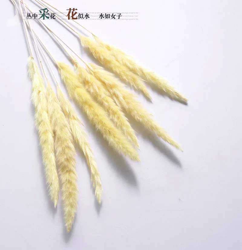 11892954848_1663543272