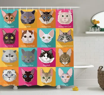 

Cat Lover Decor Collection, Popular Breeds of Cats Abyssinian Burmese Sphynx Norwegian Forest, Polyester Fabric Bathroom Shower
