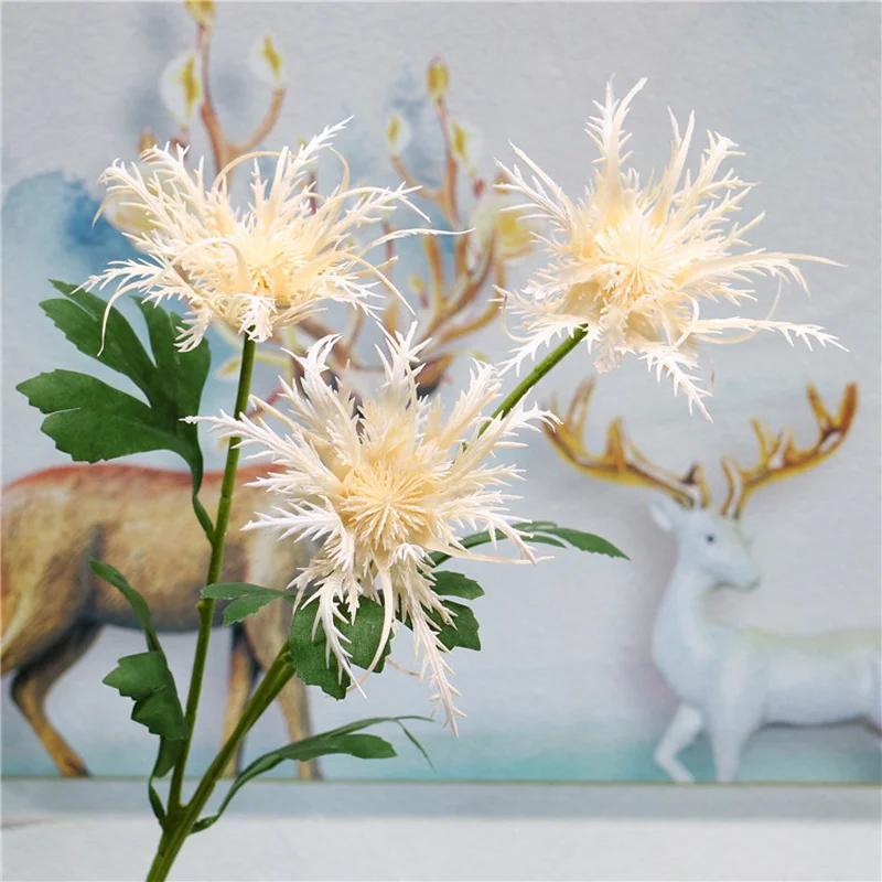 11299700460_1735480233