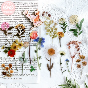 Mr.paper 40Pcs/bag Plant Flower Mushroom Ginkgo Pet Deco Diary Stickers Scrapbooking Planner Decorative Stationery Stickers 2