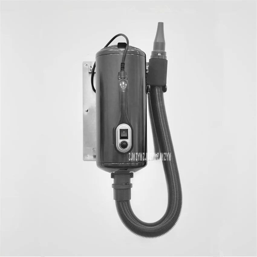 as shown DHD-2400T сушилка для волос для больших собак, золотистый ретривер, воздуходувка для кошек, двойной двигатель, низкий уровень шума, 2200 Вт, 220 В - Цвет: as shown
