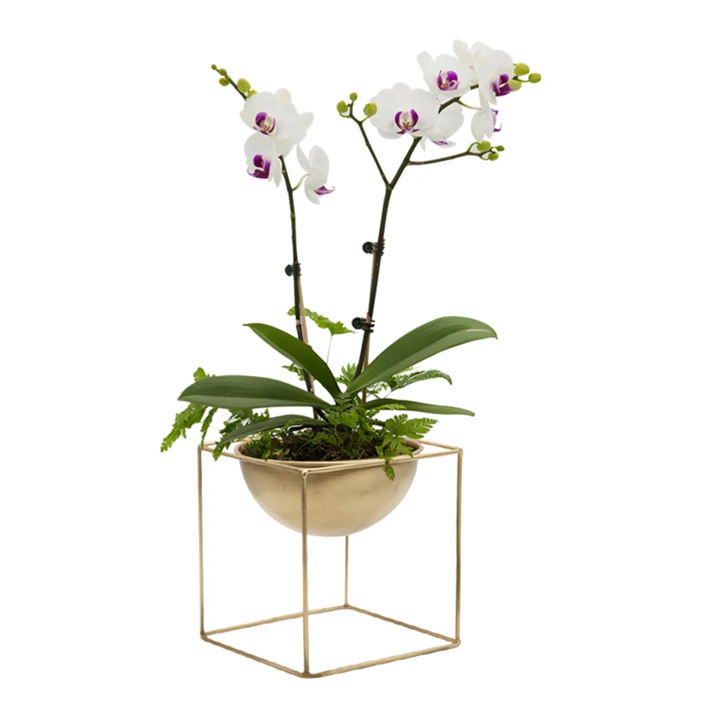 Indoor Wall Hanging Planter Basket Flower Pot Holder Herb Home Decor