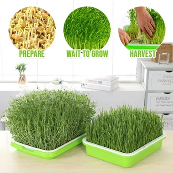 

2020 New Flower Plant Nursery Pot Seed Sprouter Tray Soil-Free Big Capacity Wheatgrass Bean Grower Tray Nursery Paper Hydroponic