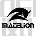 Matelion Store