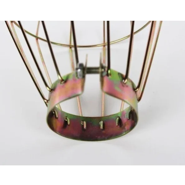 5cf5e1ea748ed917786dcffe-2-original