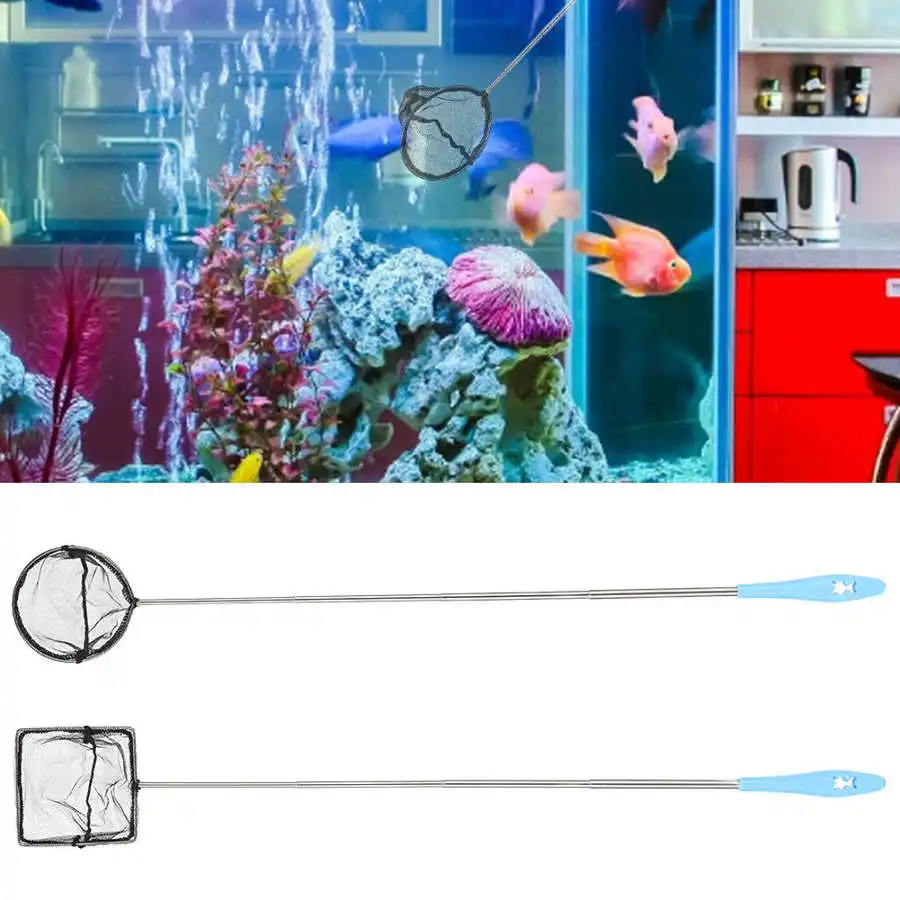 JBL Épuisette Prémium 15 Cm à Maille Fine Et Filet Noir Pour Aquarium