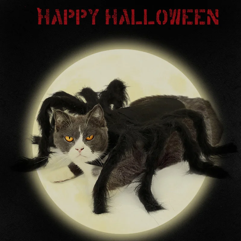 

Spider Pet Costumes Cat Spider Costume Party Supplies Masquerade Felt Cloth Black Funny Halloween Cosplay Clothes Creative Dog
