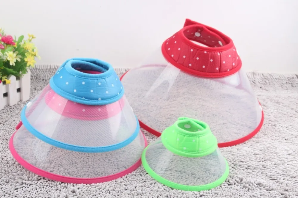 2713576984_1385283841