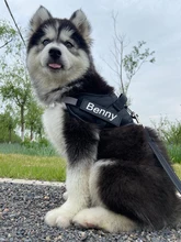 Szelki Dla Psa-arnés personalizado para perro, sin tirones, reflectante, transpirable, ajustable, para correa de chaleco, con parche personalizado