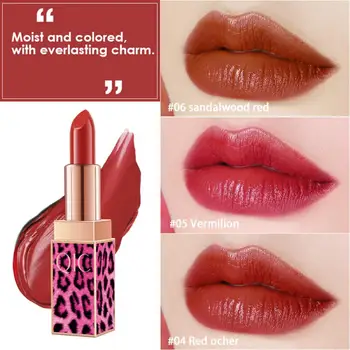 

6 Colors Lips Makeup Lipstick Leopard Lip Gloss Long Lasting Moisture Cosmetic Lipstick Red Lip Matte Lipstick Waterproof TSLM2
