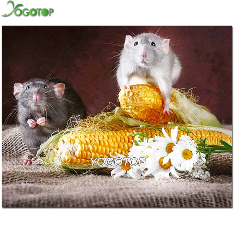 5d diy Алмазная искусственная кожа и кукуруза забавное животное квадратная круглая