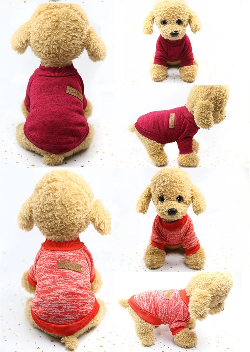 dog clothes (7)