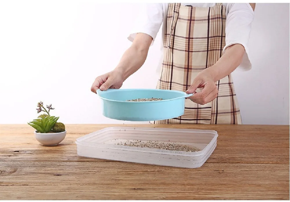 21810778398_1689668960