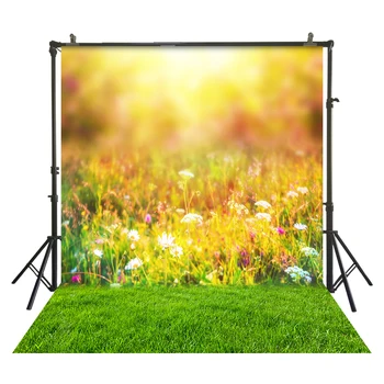 

HuaYi spring sunshine forest grassland decoration background photography spring scene picture studio photography W-3825