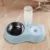 Держатель Кошачьего корма Teddy Dog Double Bowl Drinking cat Dog Bowl for cat dog Basin Cats Dogs Drink Fountain Pet Supplies
