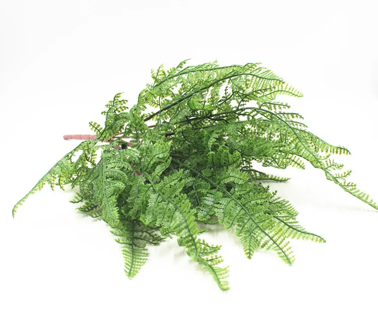 19叶软胶波斯叶