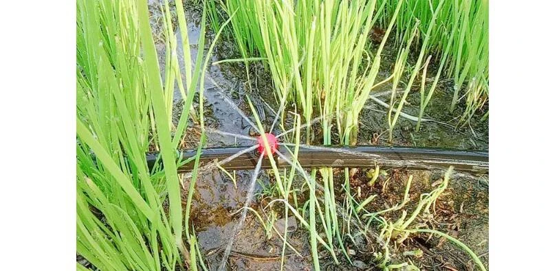 QQ截图20200820214028