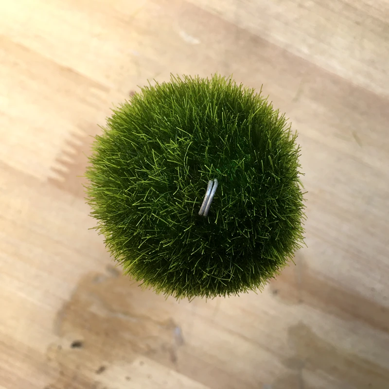Свадебные сувениры Зеленый воздушный шар держатель для фотосъемки/оформление