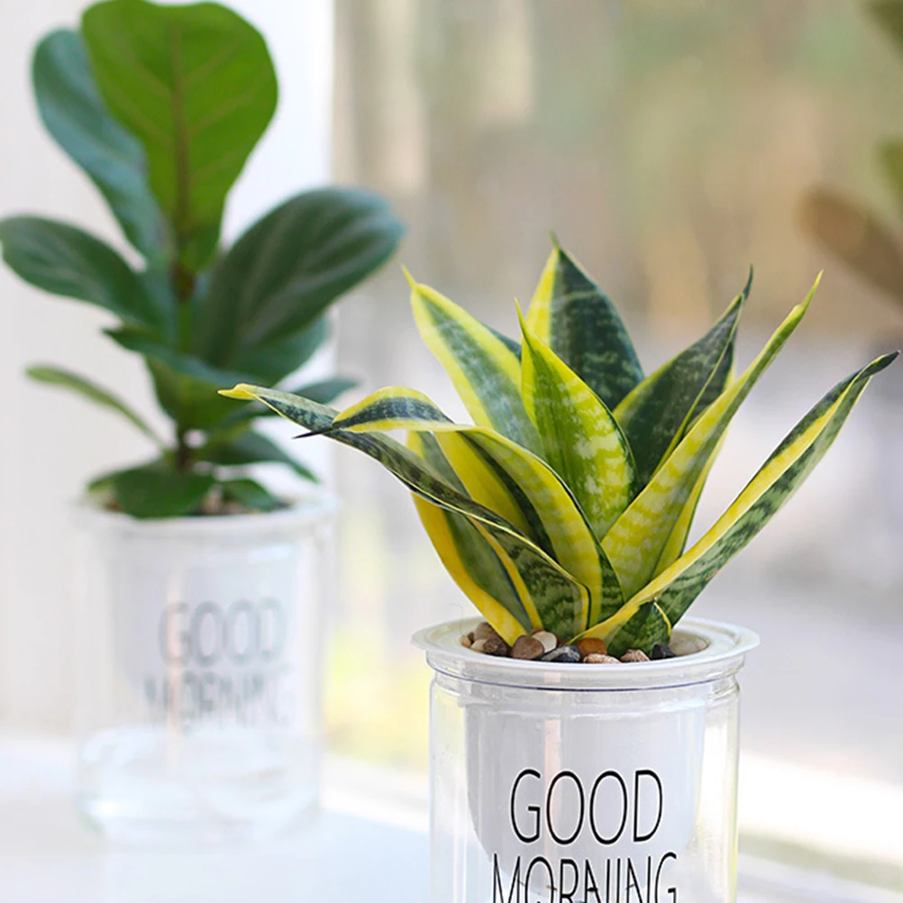 PCS Creative Durable Practical Convenient Flower Pot Water Storage Plants Holder Plastic Planter for Gardening | Дом и сад