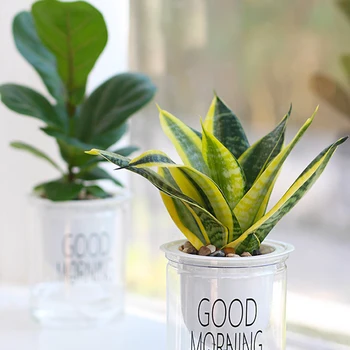 

PCS Creative Durable Practical Convenient Flower Pot Water Storage Pot Plants Holder Plastic Planter for Gardening