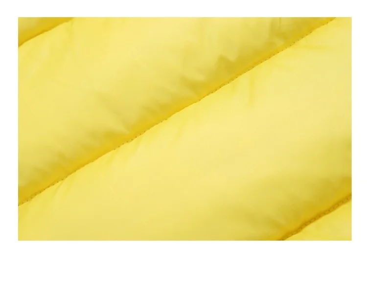 11953687368_36822252