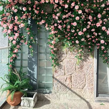 

Artificial Tea Rose Rattan False Flower Peony Rattan Fake Flower Vine Landscaping Plant Wall Wedding Home Party Decoration