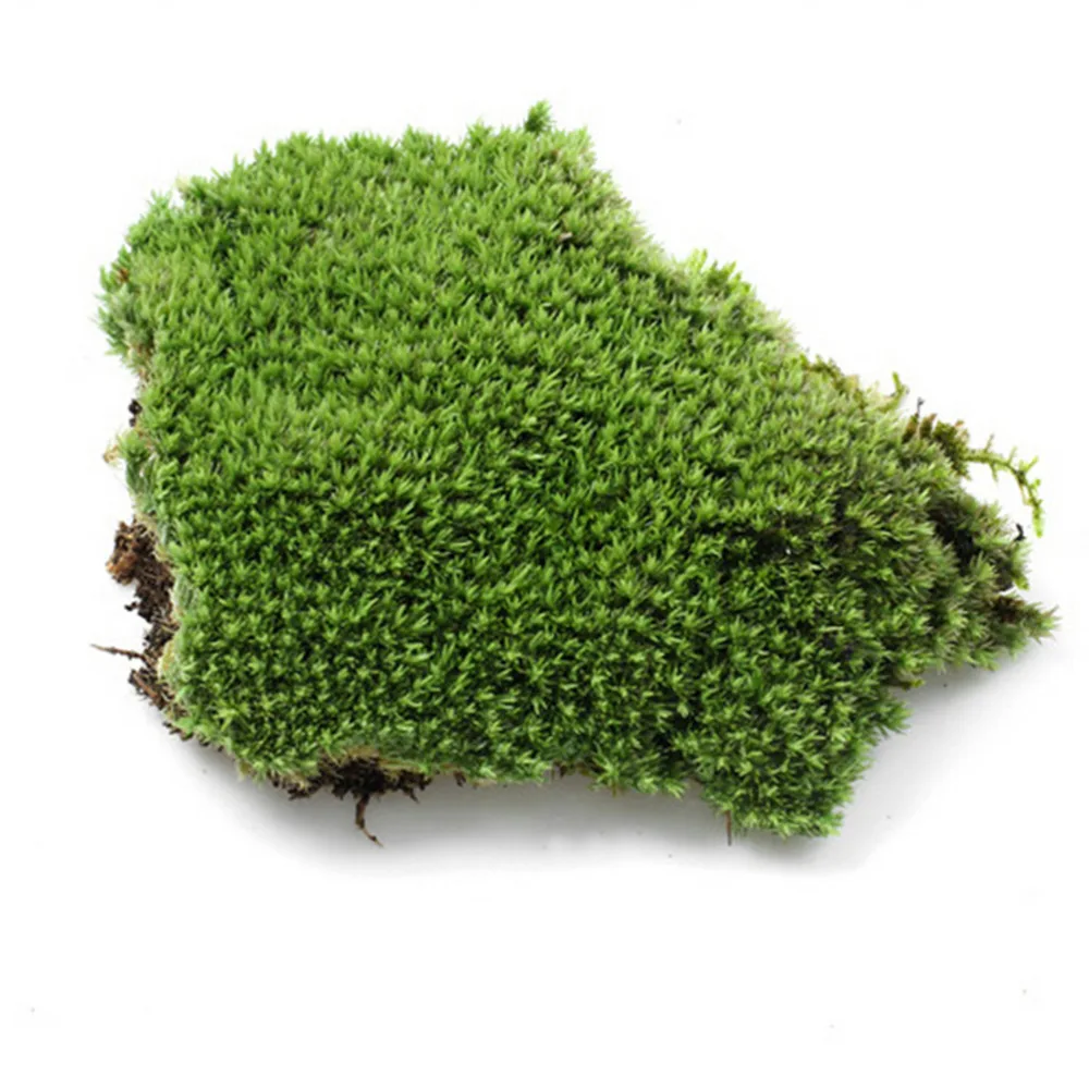 Plastic DIY Fake Moss Miniature Garden Ornament Craft Fairy Artificial Lawn Grass for Wedding Xmas Party Decoration