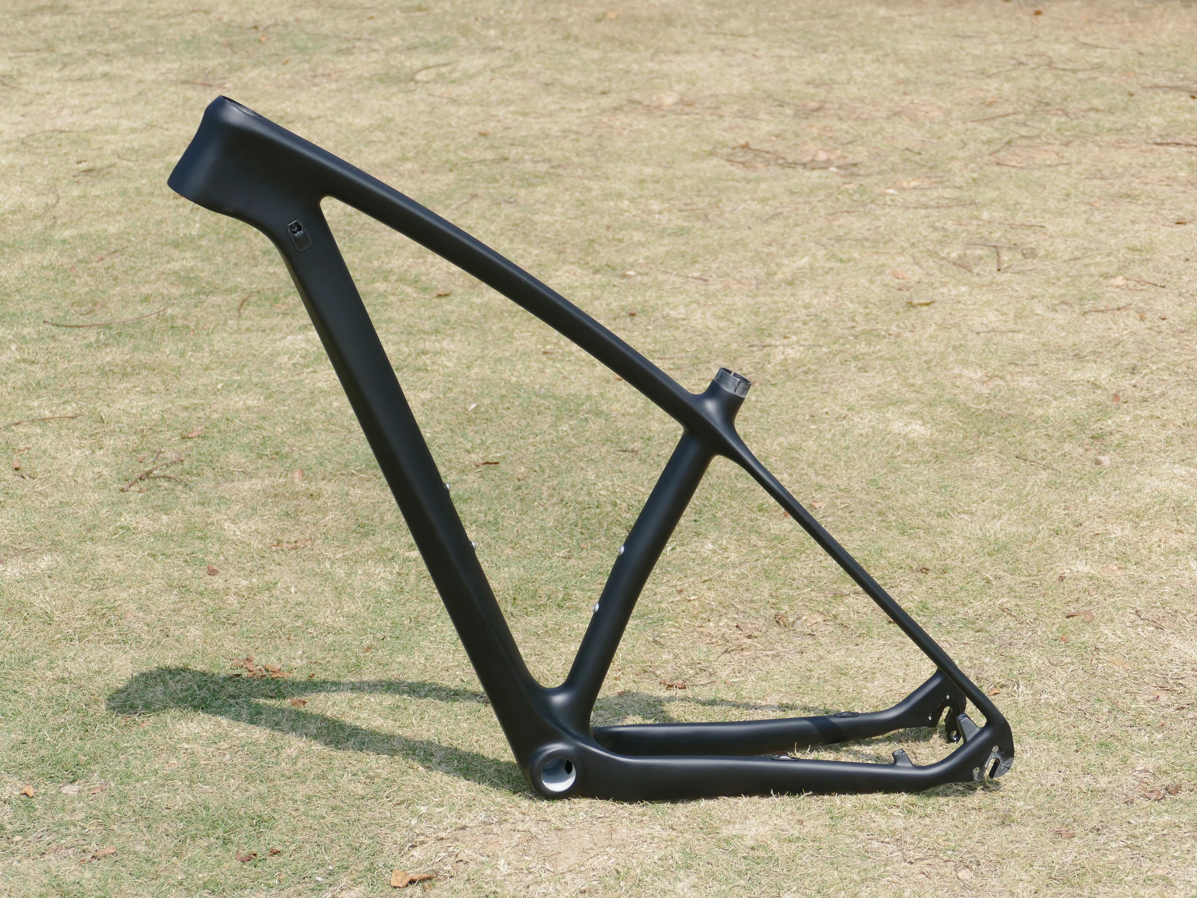 New Arrival Full Carbon Disc Ud Matt Bike Bicycle Cycling 29er Mountain  Bike Mtb 142 * 12mm / Qr 29er Frame 15" , 17" , 19 - Bicycle - AliExpress