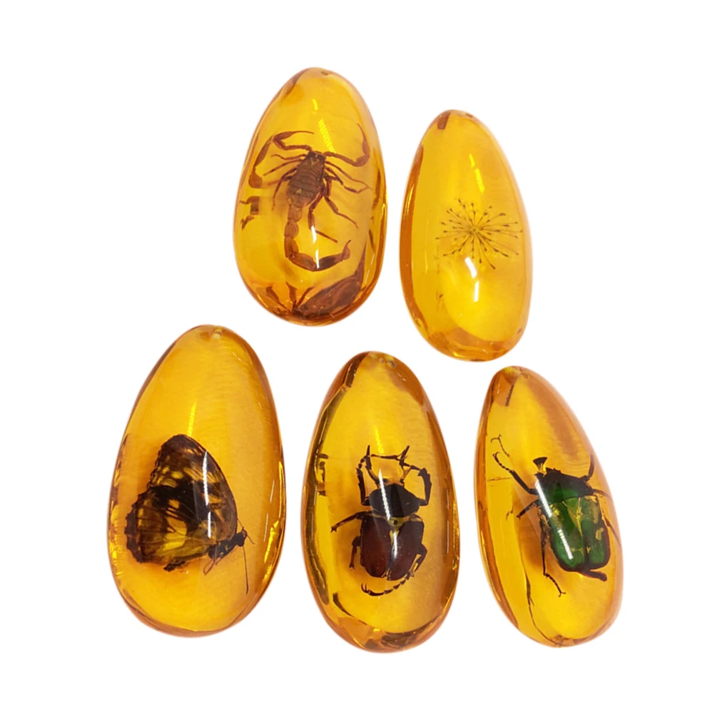 Янтарный ископаемый с насекомыми образцы камней семейный Декор Коллекция