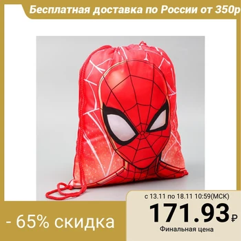 

Shoe bag 420*350, Spider-man, spider-Man 4947390