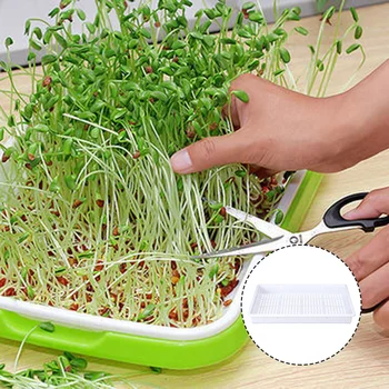 

1PC Hydroponic Nursery Tray Food Grade PP Green Gardening Seedling Tray Hydroponic Vegetable Seedling Tray Vegetable Nursery Tra