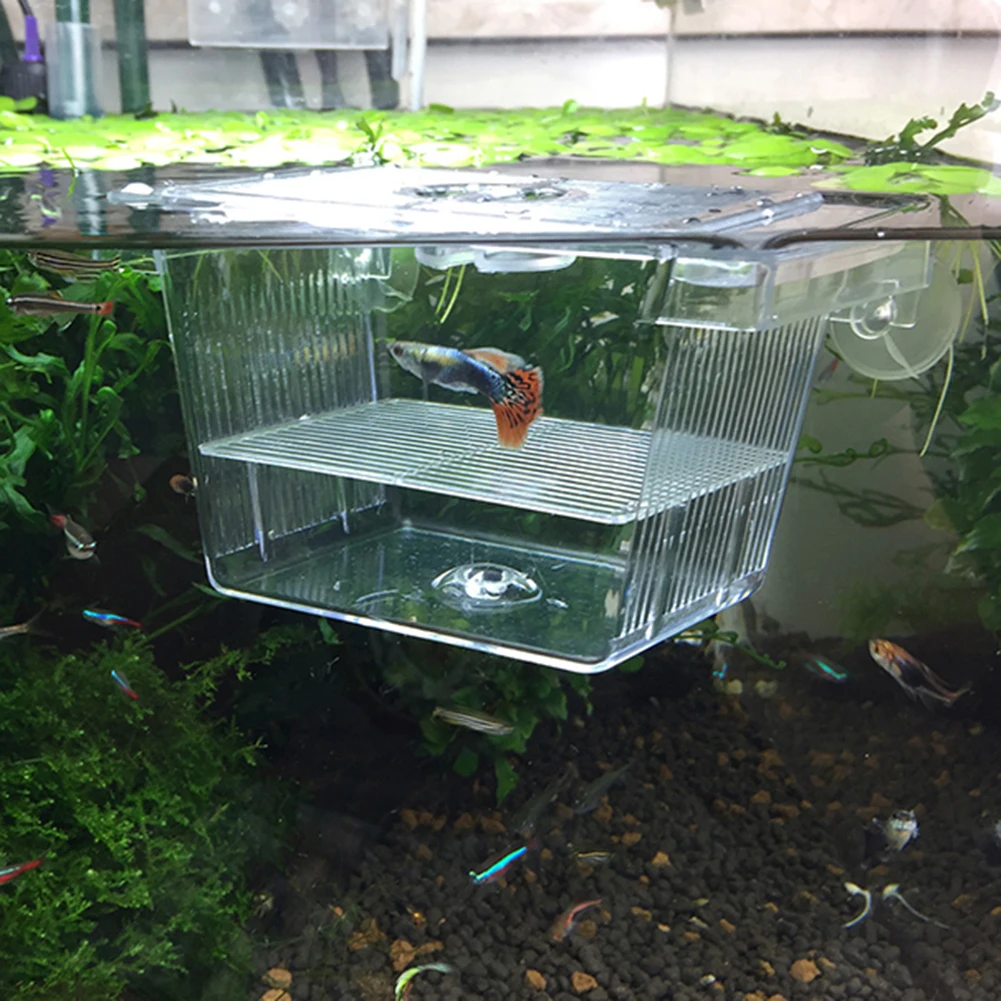 Transparent Aquarium Incubator fish breeding box For Fish Tank Isolation Box Acrylic Hatchery Fish Decoration tank Spawning Hatching Room Hot