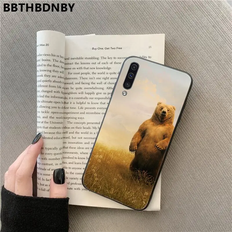 Bear