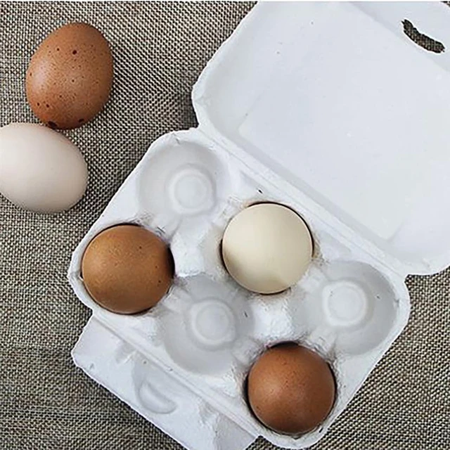 Duck Egg Boxes - Cardboard (Fits 6 Eggs)