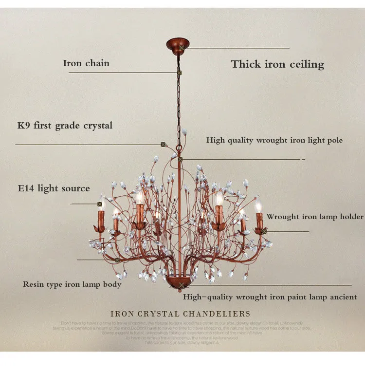 11156082330_223093579_meitu_1