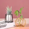 Nordic Style Golden Black Glass Hydroponic Iron Line Flower Vase Metal Plant Holder Modern Home Decor Vases Ornament ► Photo 2/6