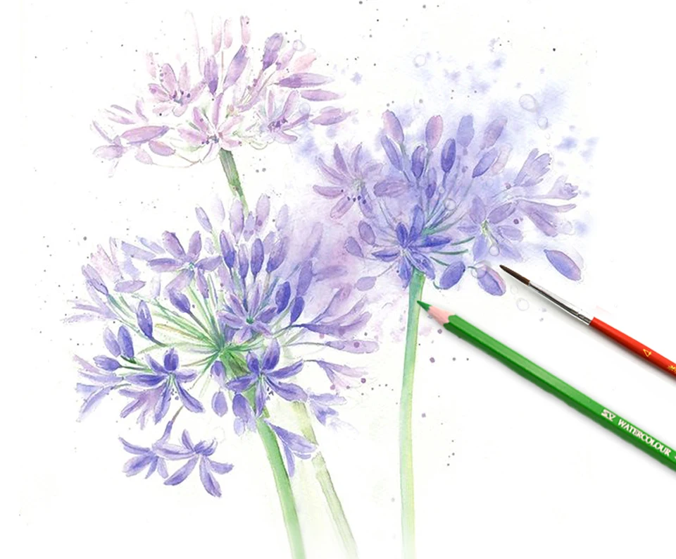 Faber castell lápis de aquarela 24 36