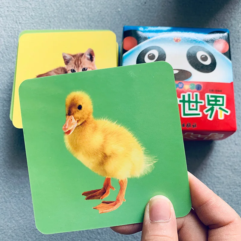 48pcs Animal Flash Cards For Toddlers Preschool Kindergarten English Words Cards Kids Educational Toys Learning Games
