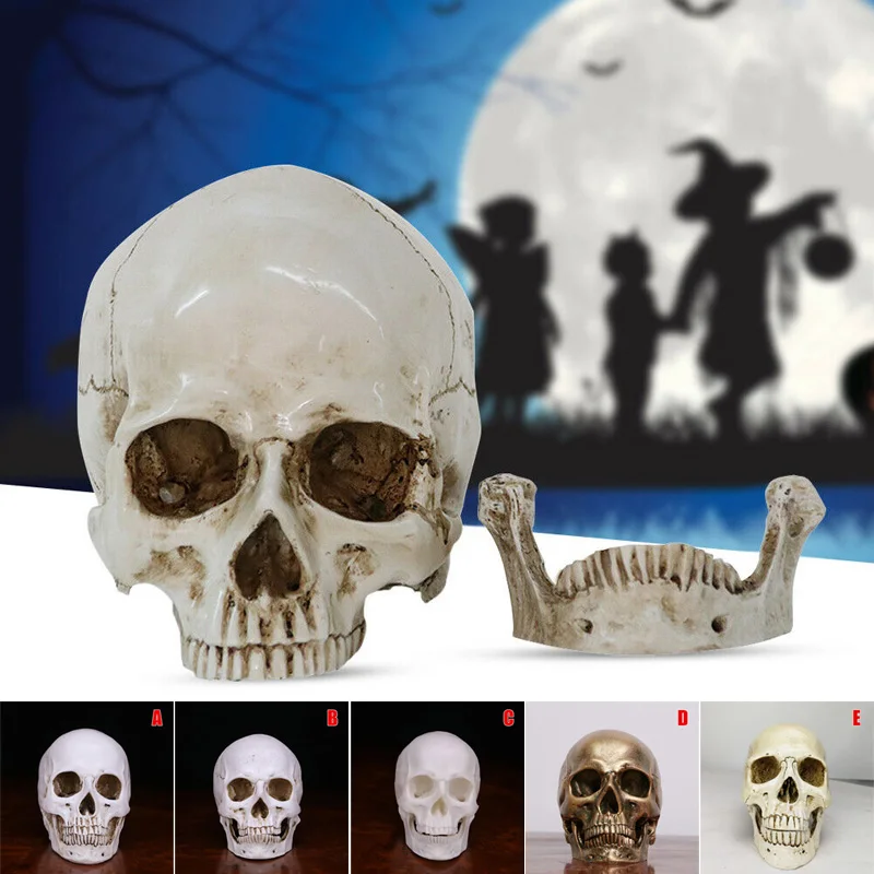 

Simulation Skull Head Resin Replica Prop Ornament for Halloween Decoration TN99